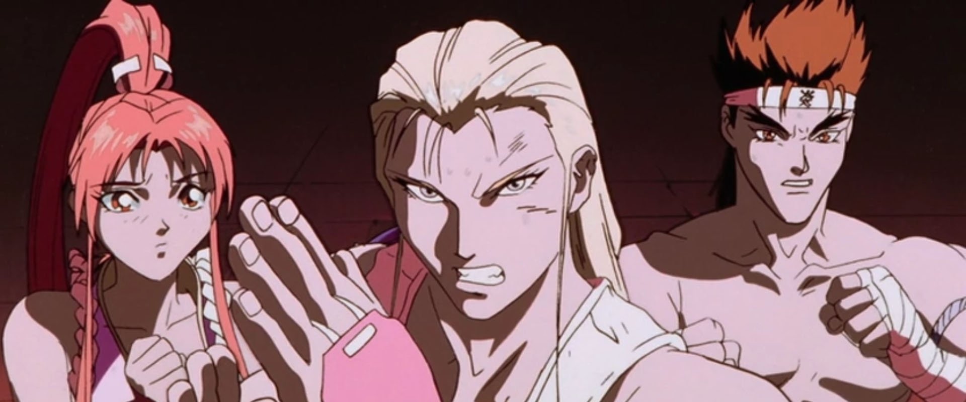 Fatal Fury: The Motion Picture backdrop