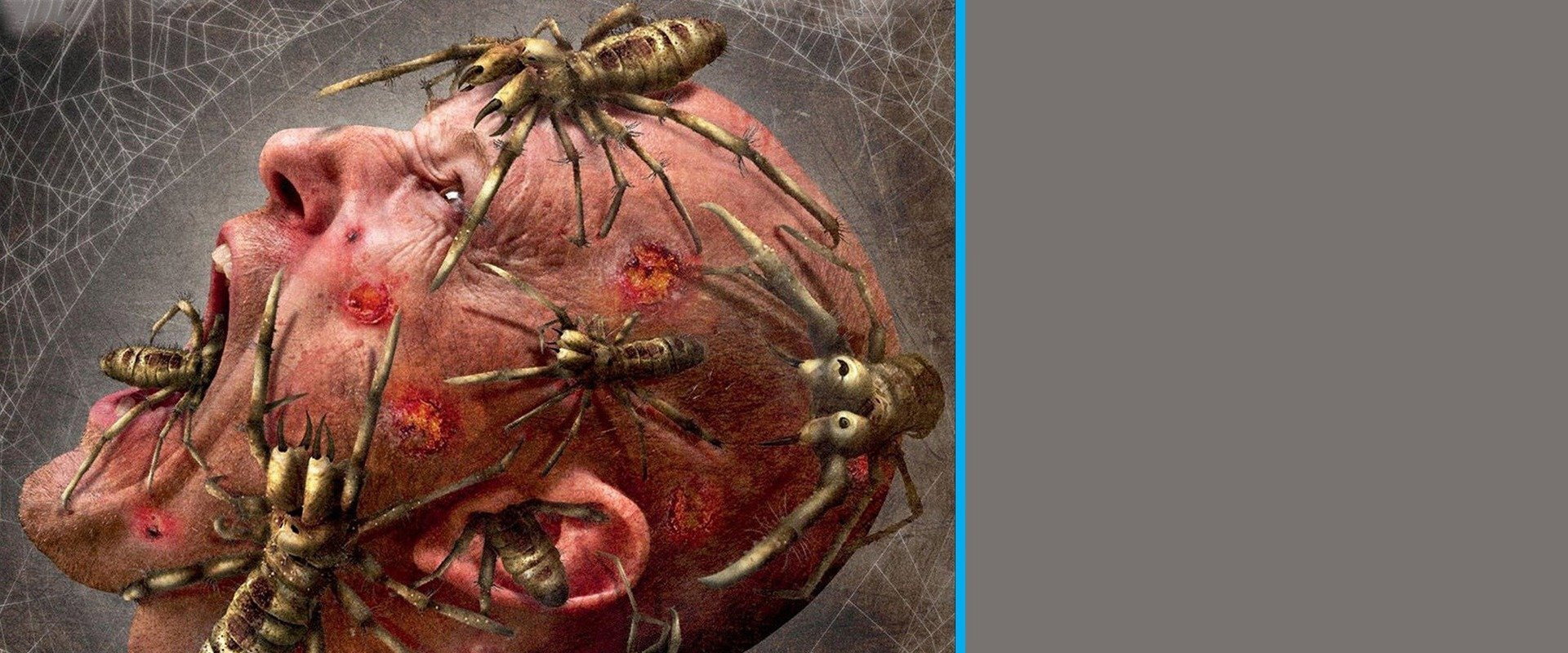 Camel Spiders backdrop