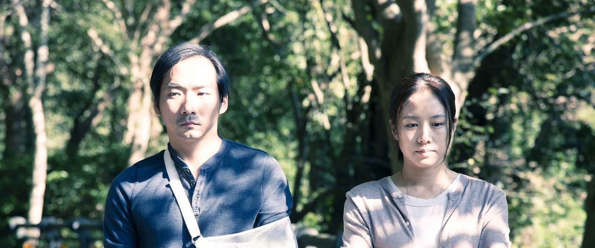 Zinnia Flower backdrop