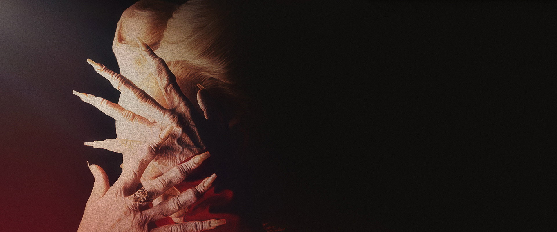 Bram Stoker's Dracula backdrop