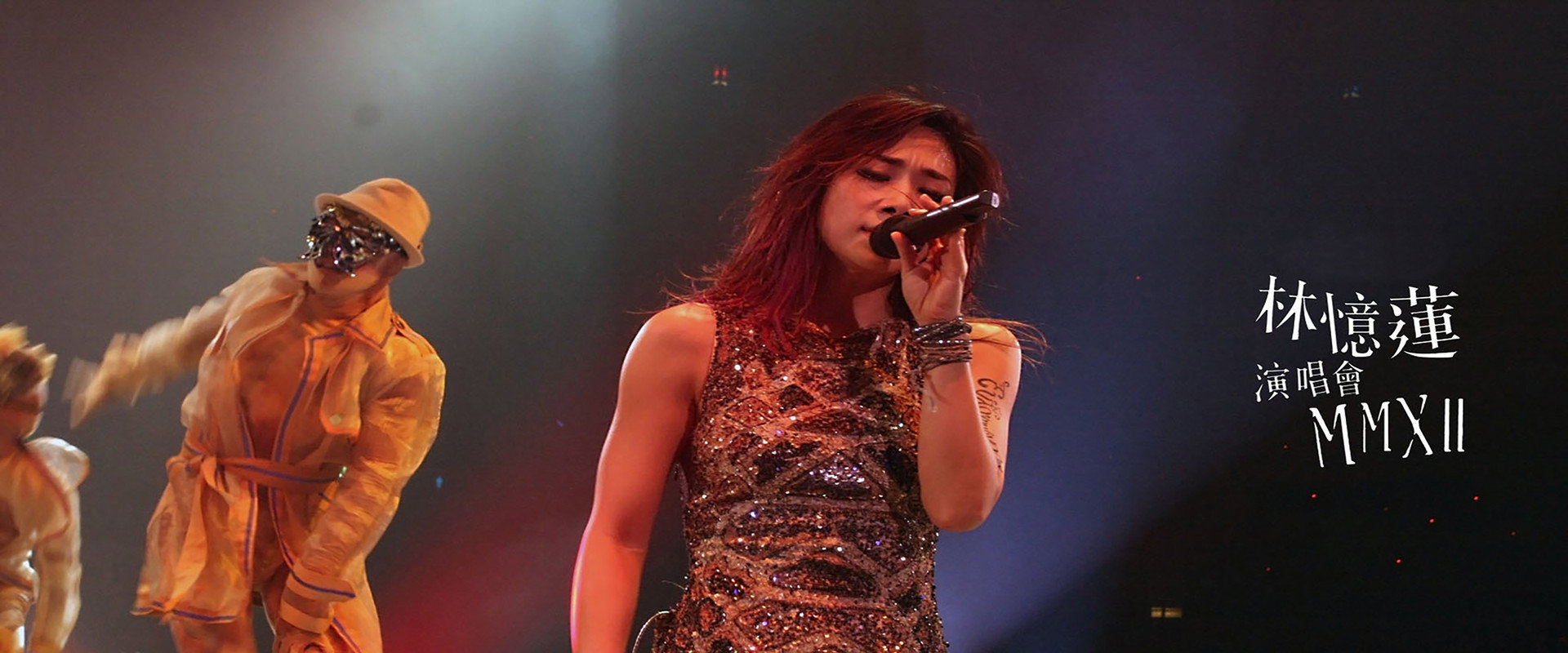 2012 林忆莲香港演唱会 backdrop