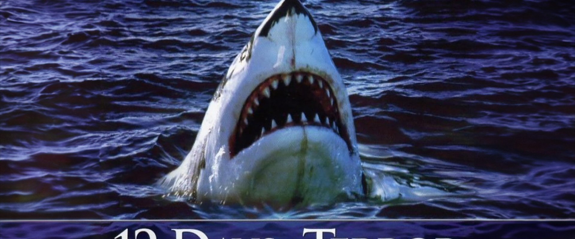 12 Days of Terror