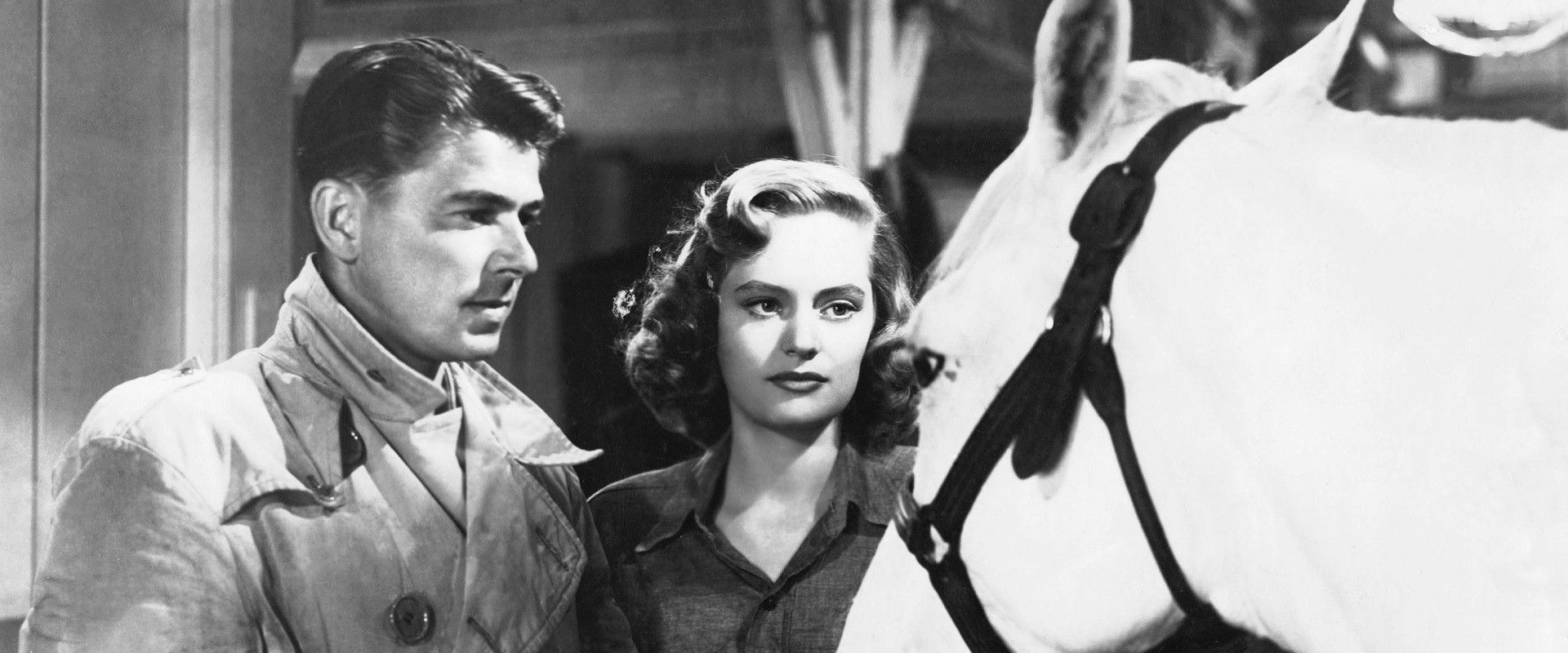 Stallion Road backdrop