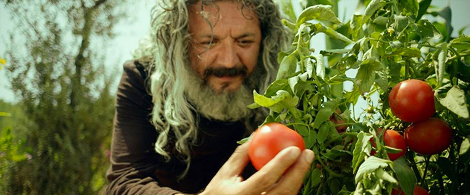 Mandıra Filozofu backdrop