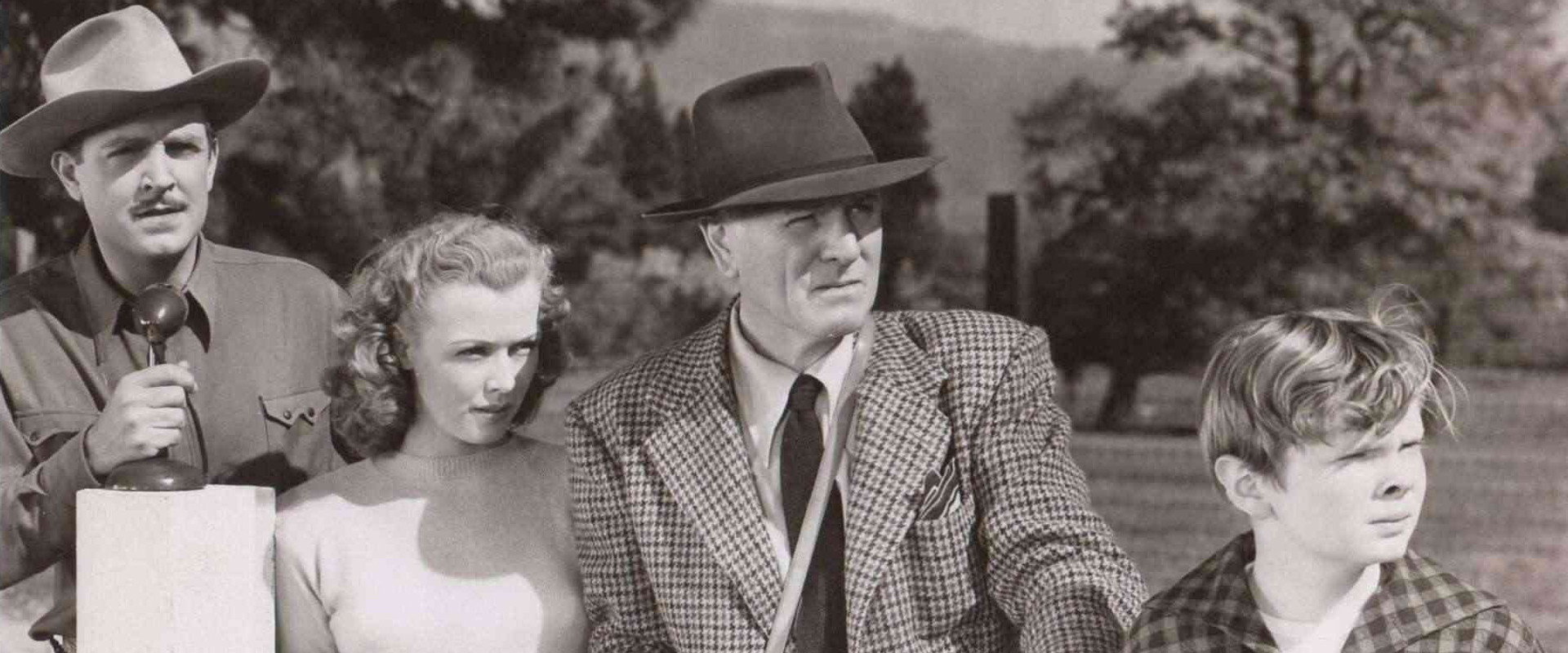 The Red Stallion backdrop