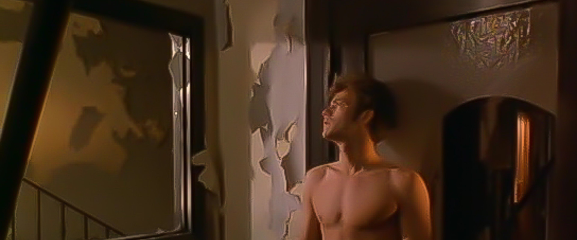 American Strays backdrop