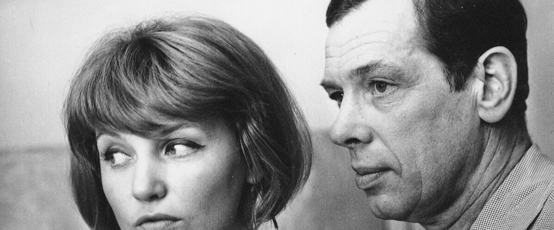 The Secret Agent's Blunder backdrop