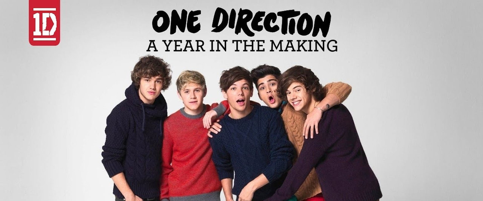 One Direction: A Year in the Making backdrop