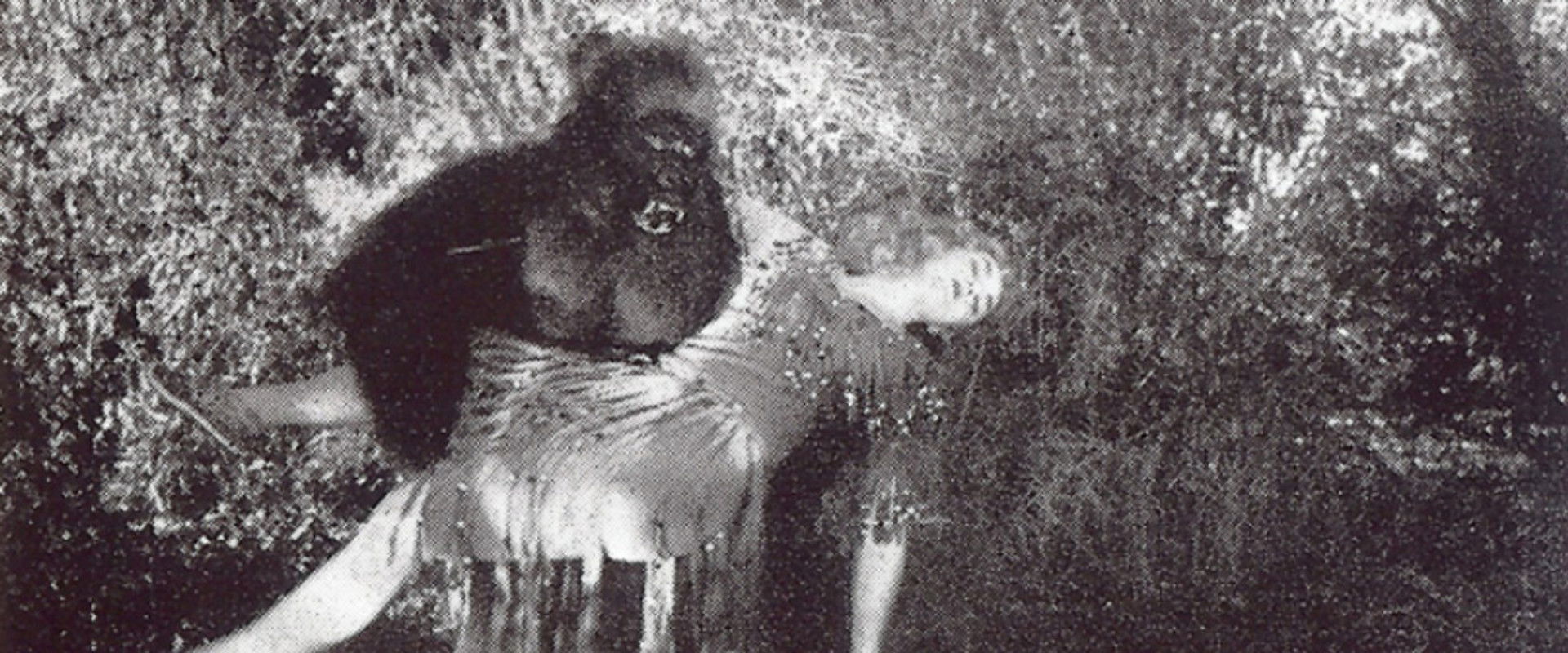 The Devil Bear backdrop