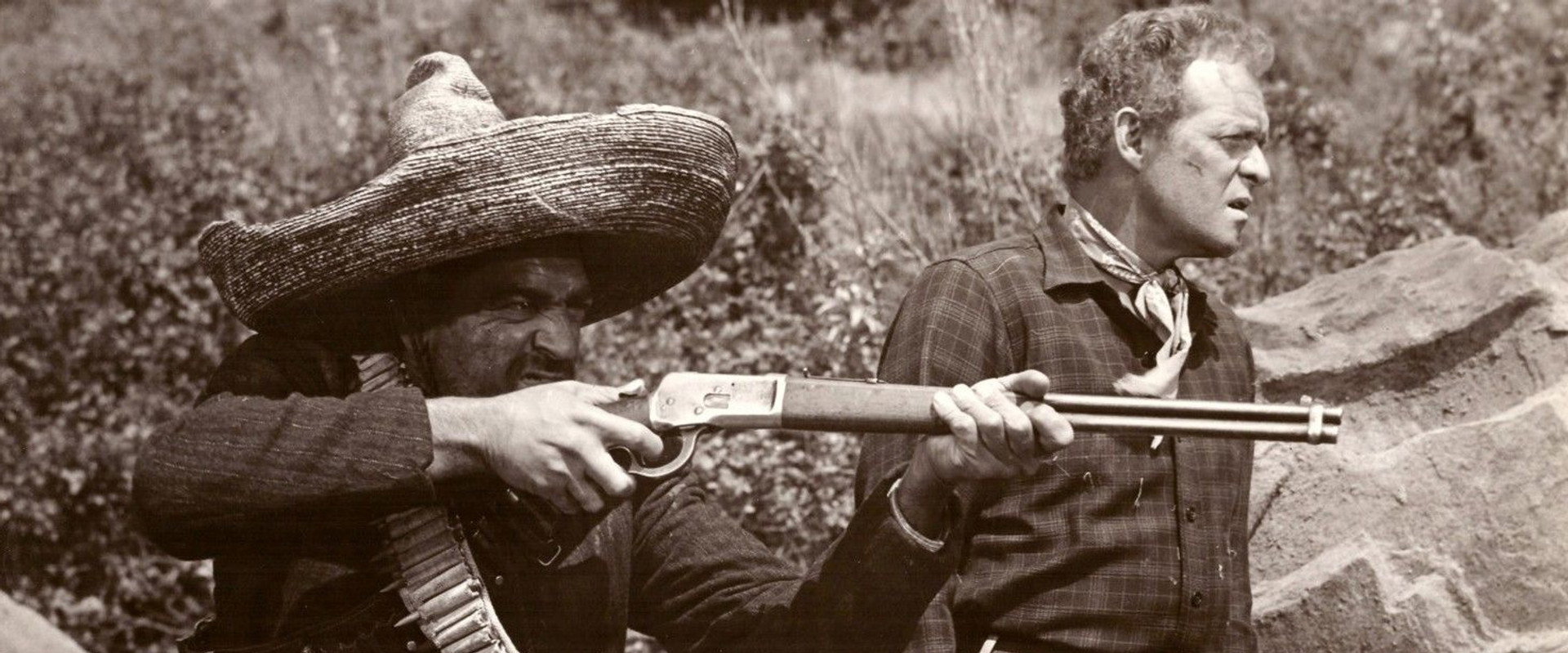 Wings of the Hawk backdrop