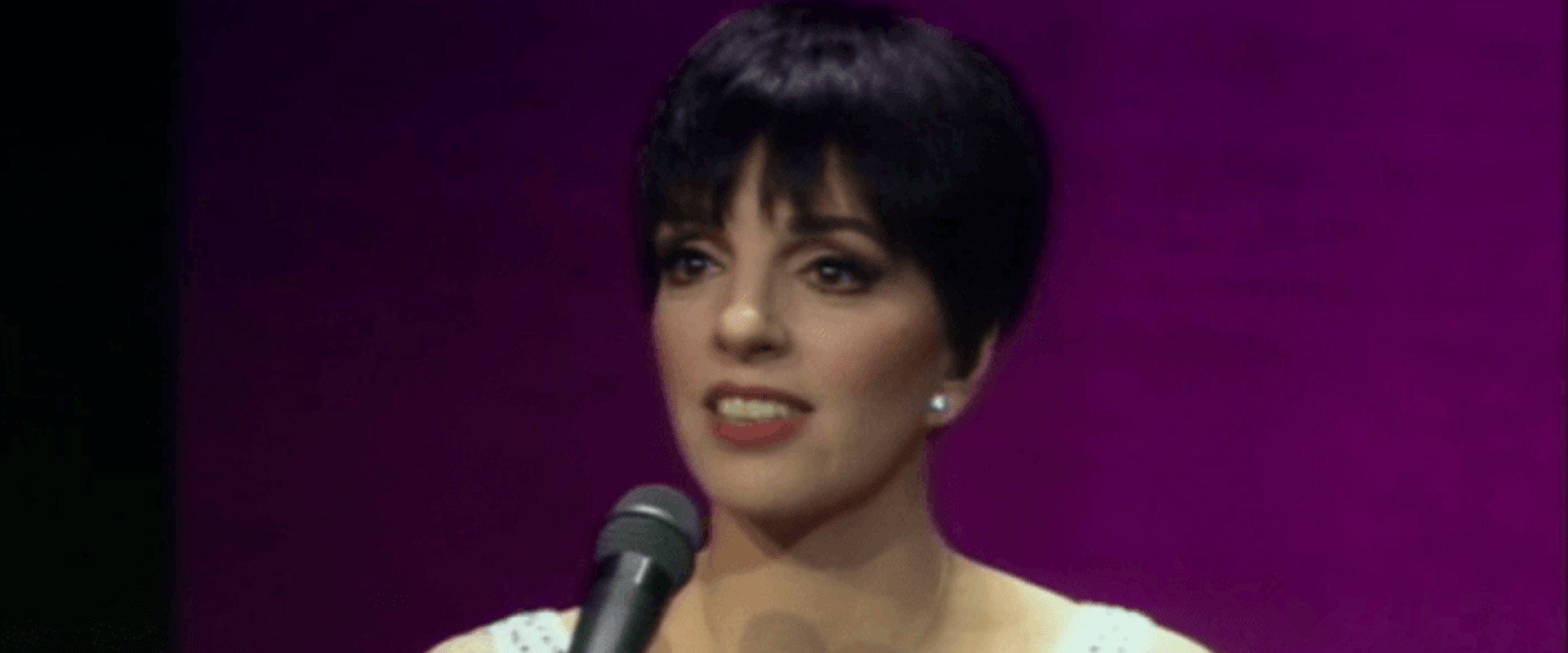 Liza Minnelli - Live from Radio City Music Hall backdrop