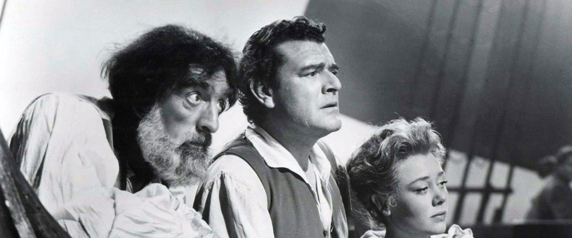 The Seekers backdrop