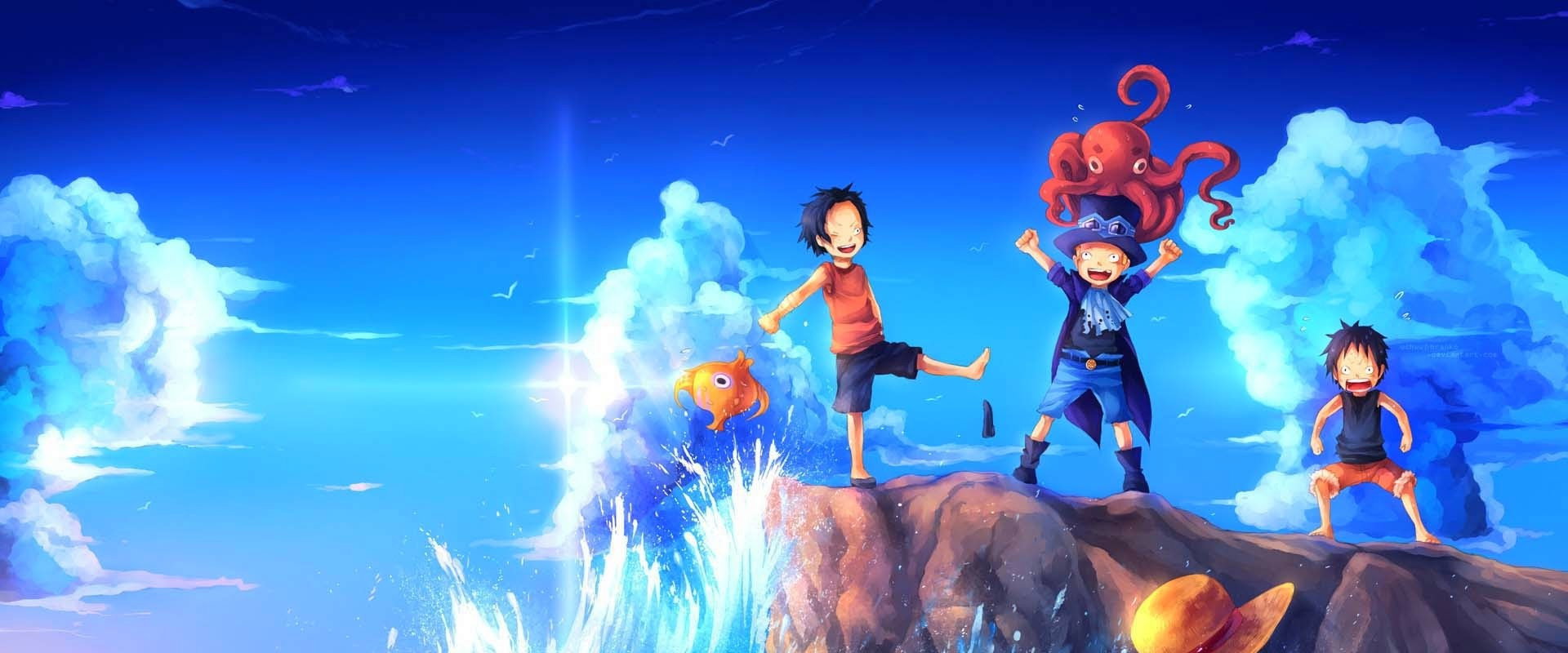 One Piece Episode of Sabo: The Three Brothers' Bond - The Miraculous Reunion and the Inherited Will backdrop