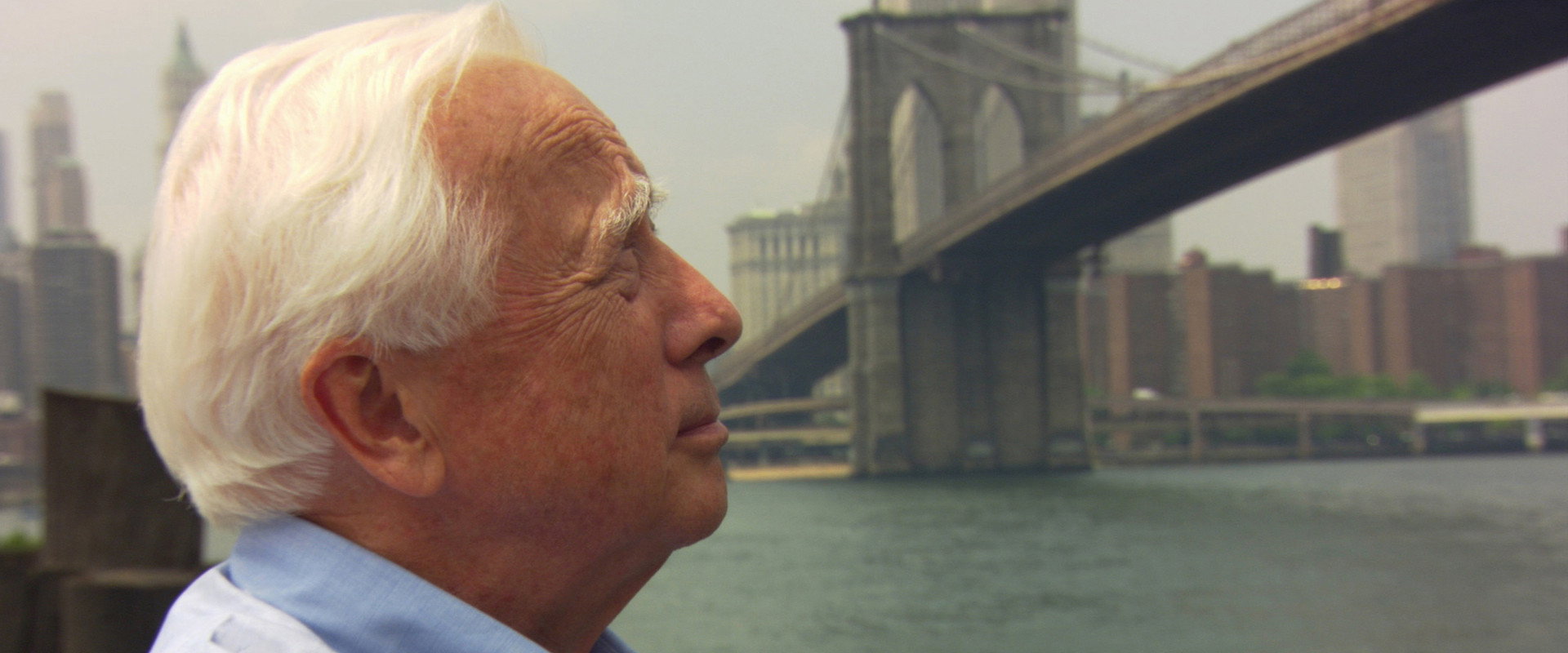 David McCullough: Painting with Words backdrop