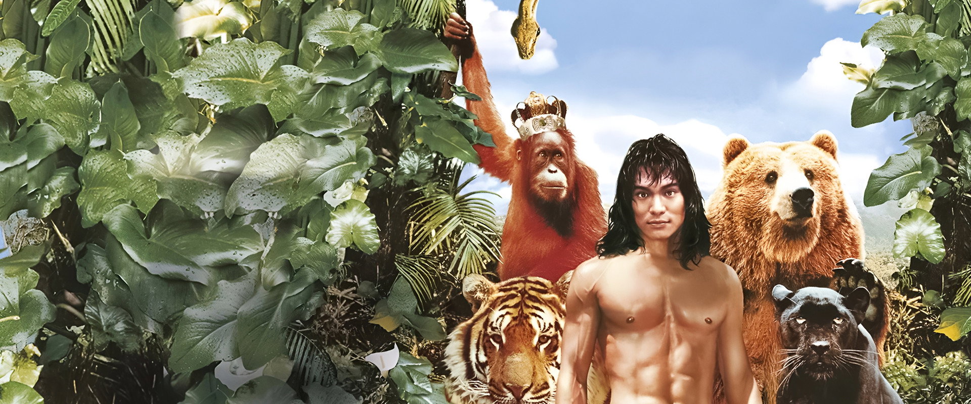 The Jungle Book backdrop