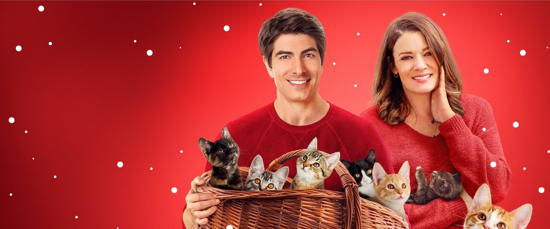 The Nine Kittens of Christmas