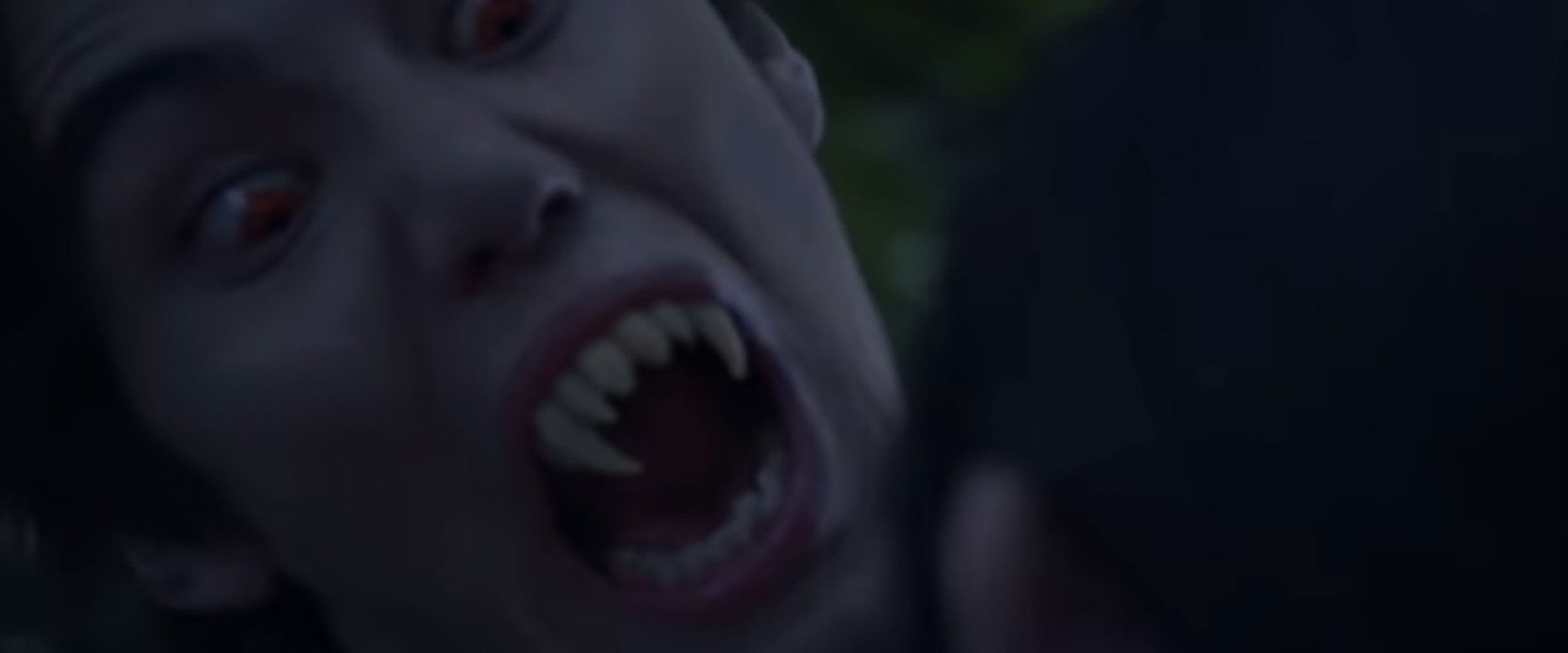 Bye Bye Vamp backdrop