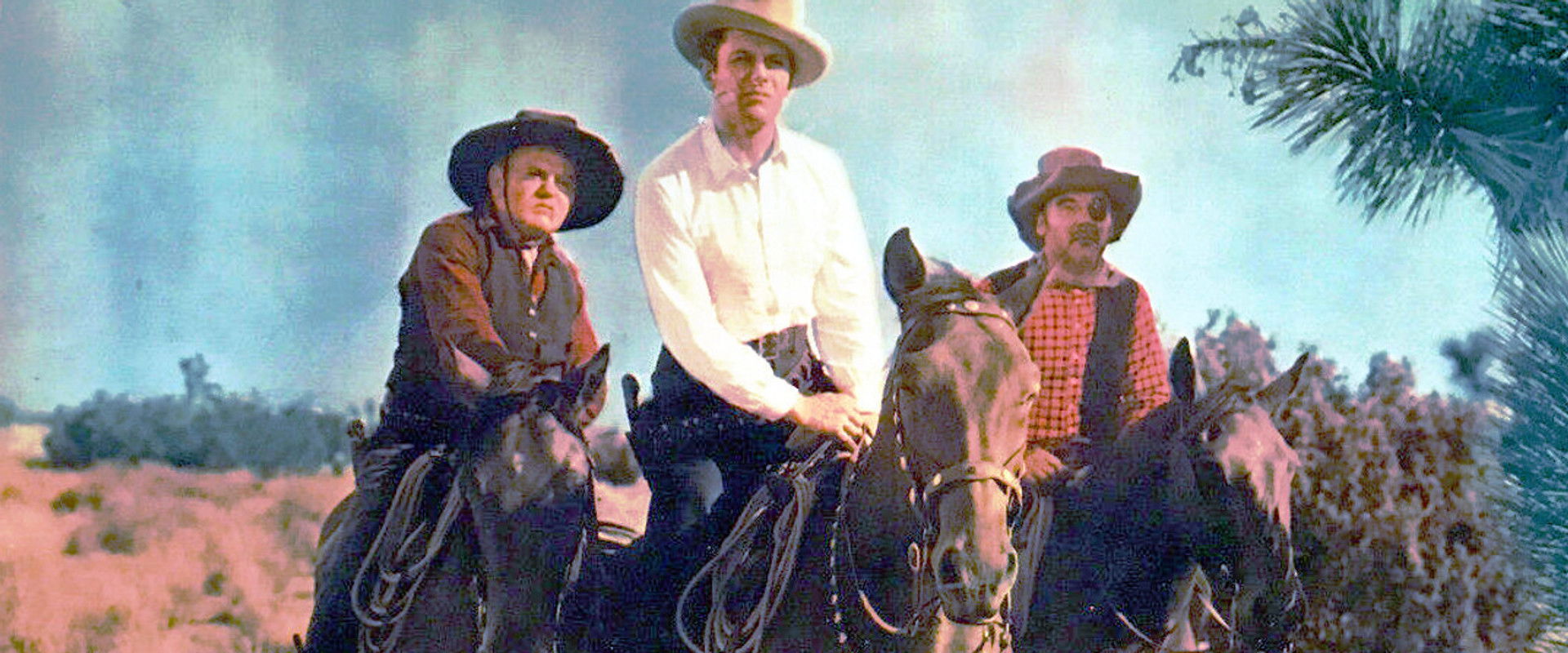 Where Trails Divide backdrop