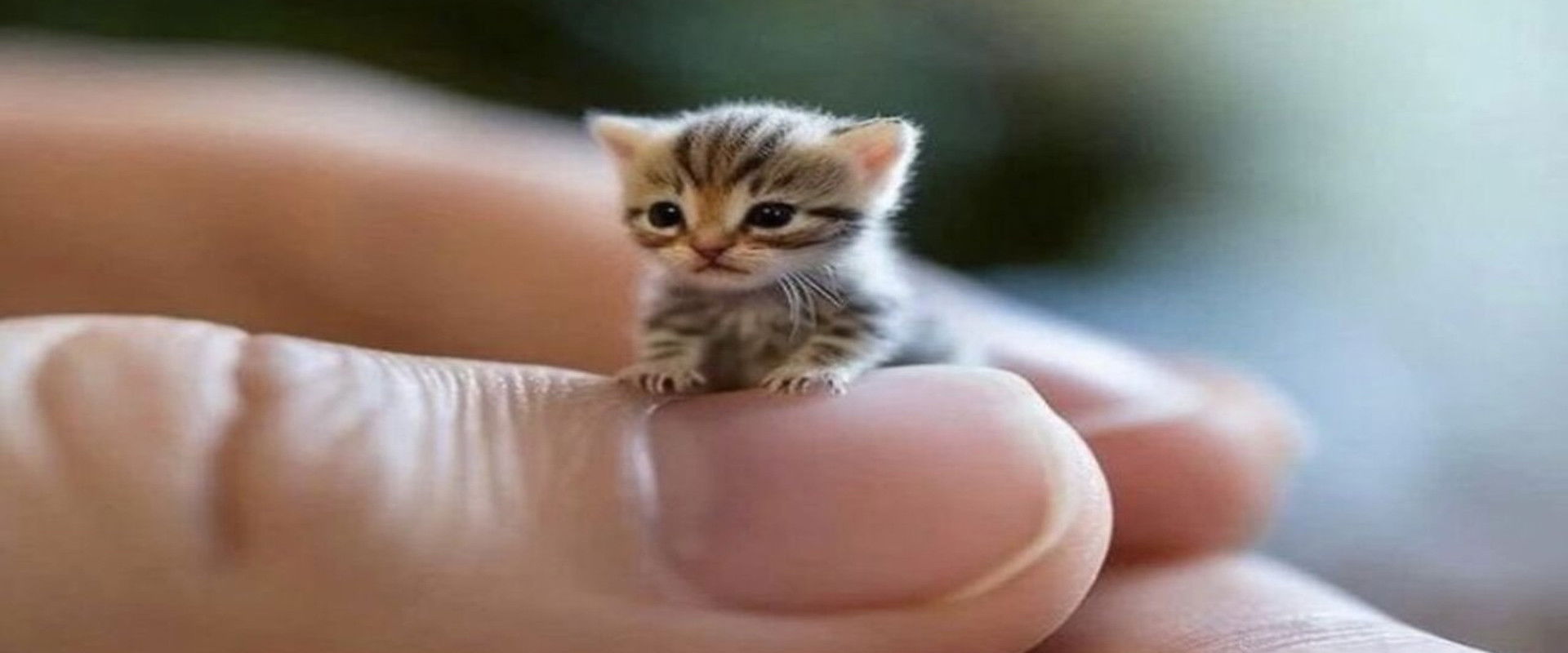 Florentina's Workout Naif backdrop