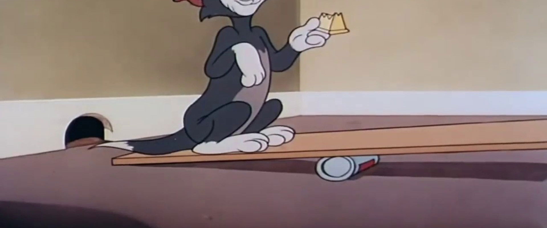 Shutter Bugged Cat backdrop