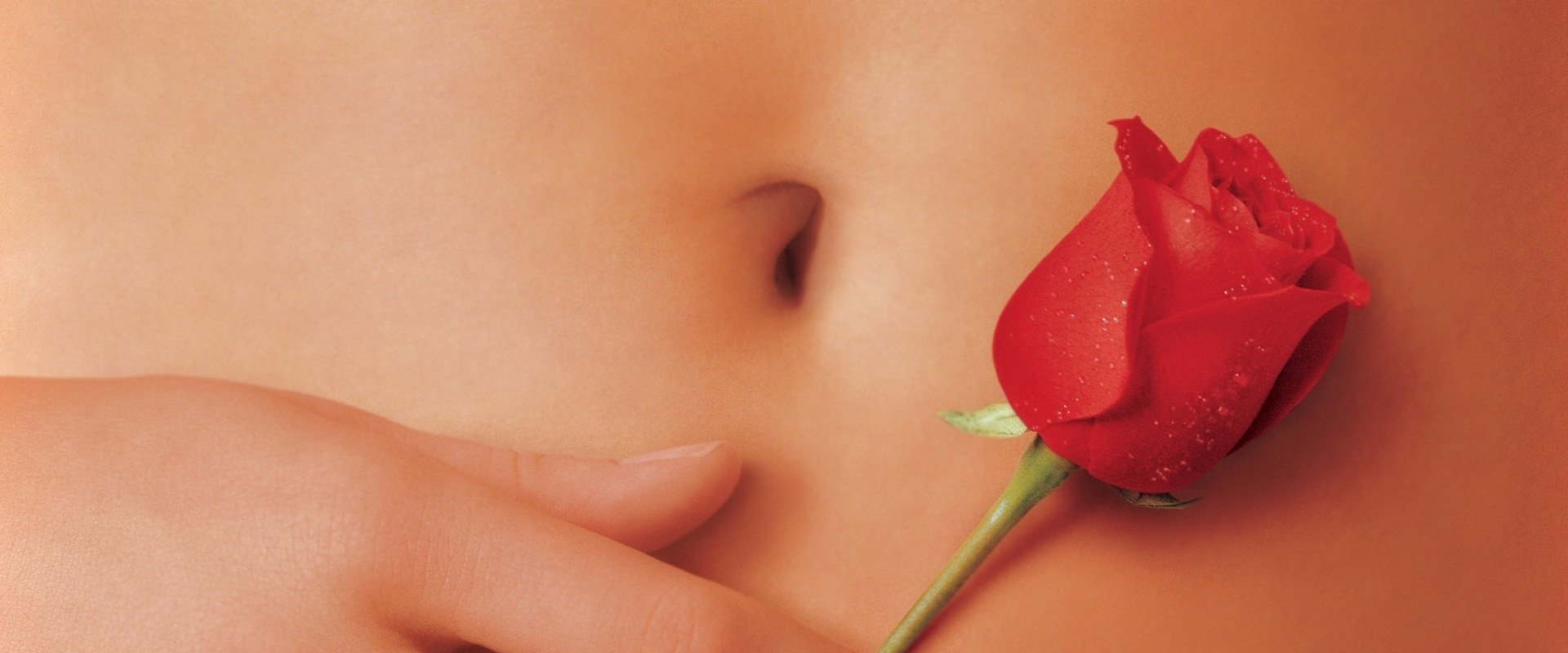 American Beauty backdrop
