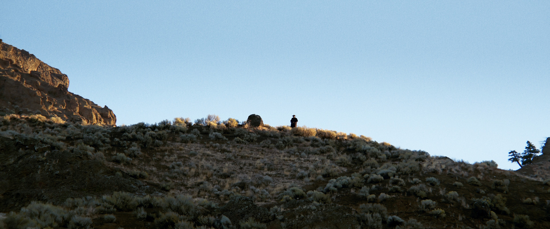 A Fools Paradise backdrop