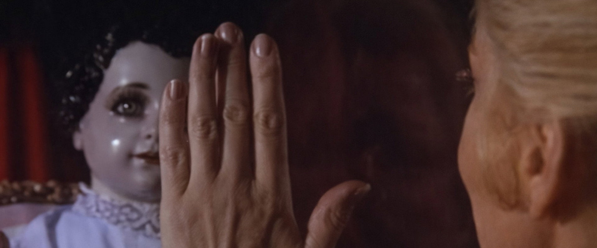 The Dried Butterflies backdrop