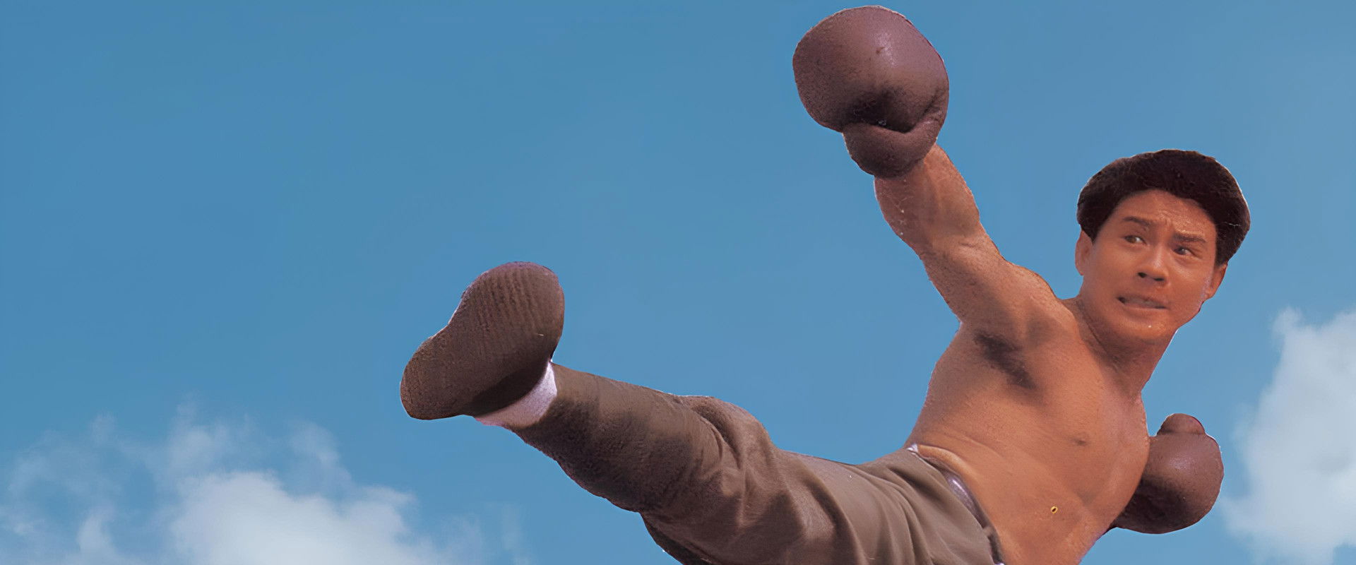 Born to Defence backdrop