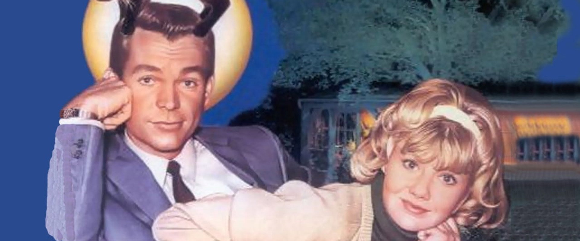 That Darn Cat! backdrop