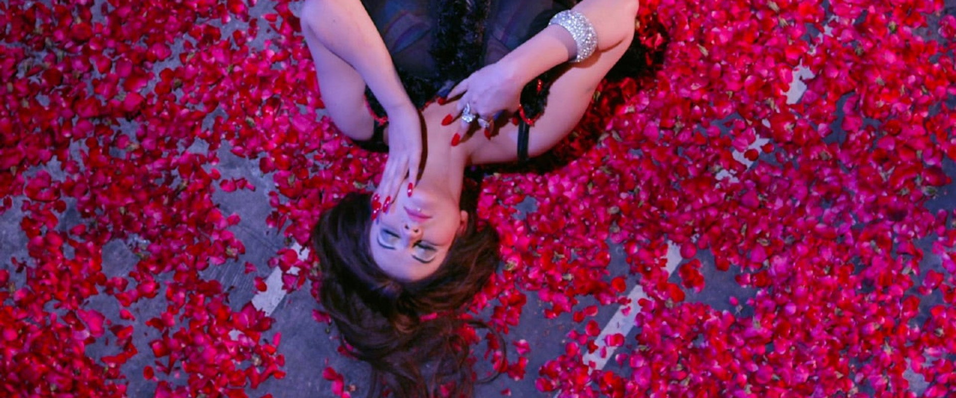 Showgirls of Pakistan backdrop