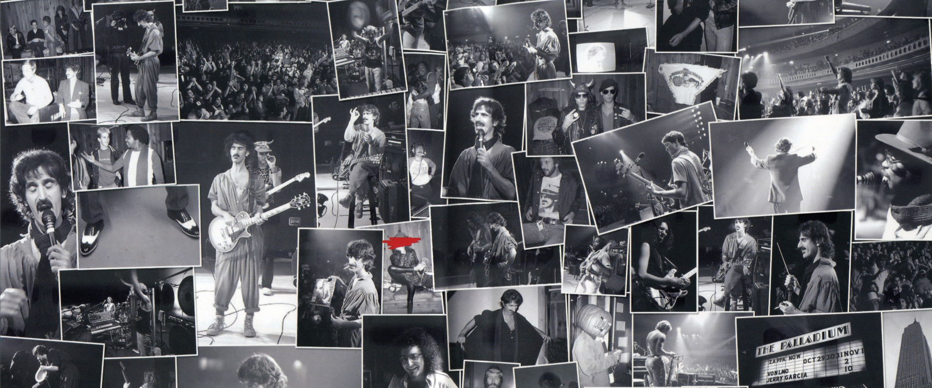 Frank Zappa: The Torture Never Stops backdrop