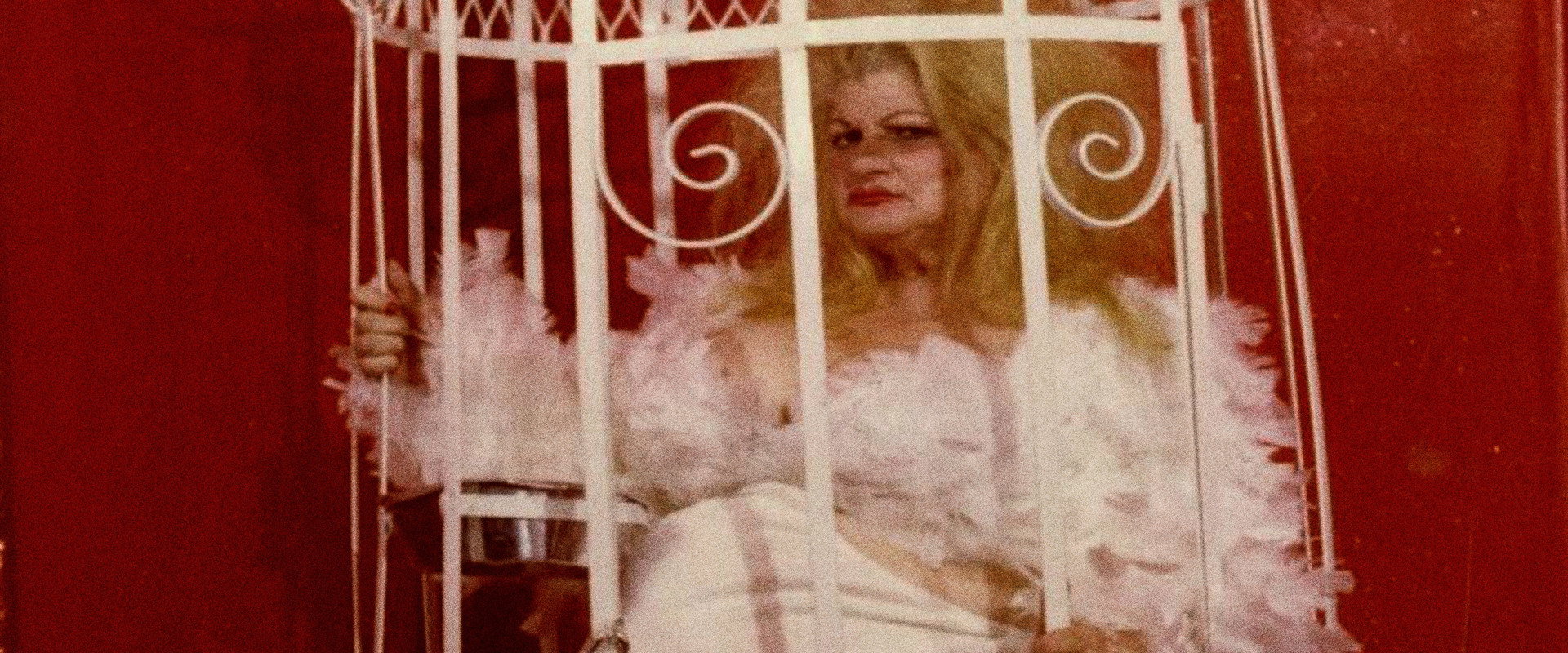 Love Letter to Edie backdrop