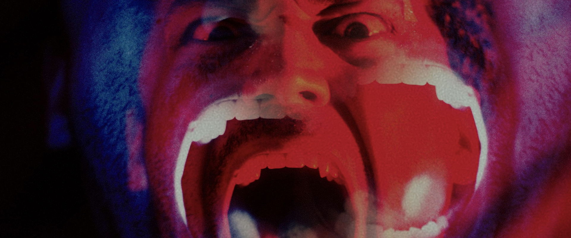 Bury Me When I'm Dead backdrop