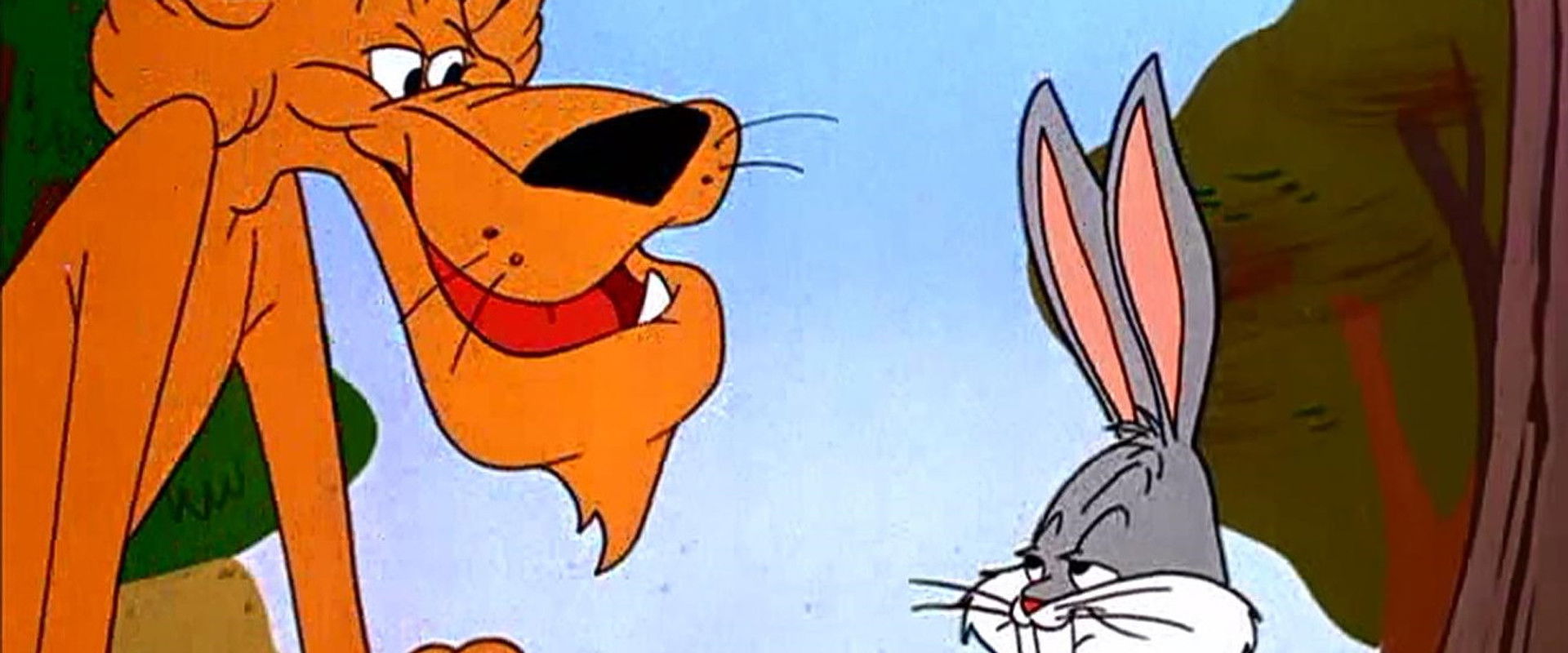 Rabbit's Kin backdrop