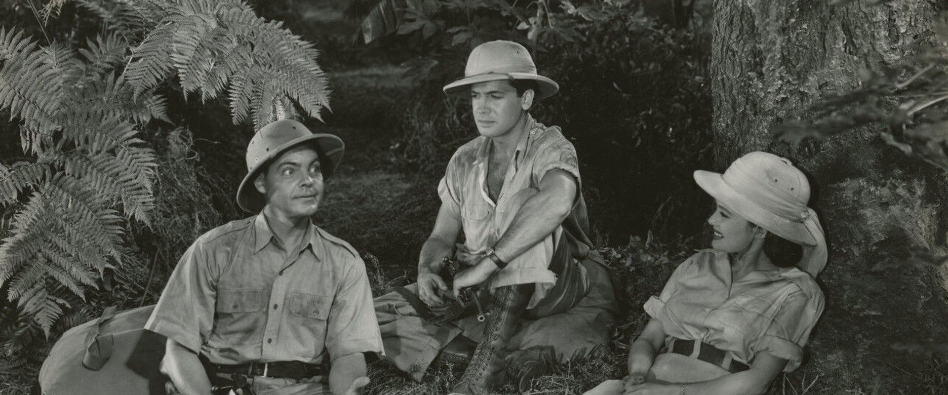 Jungle Safari backdrop