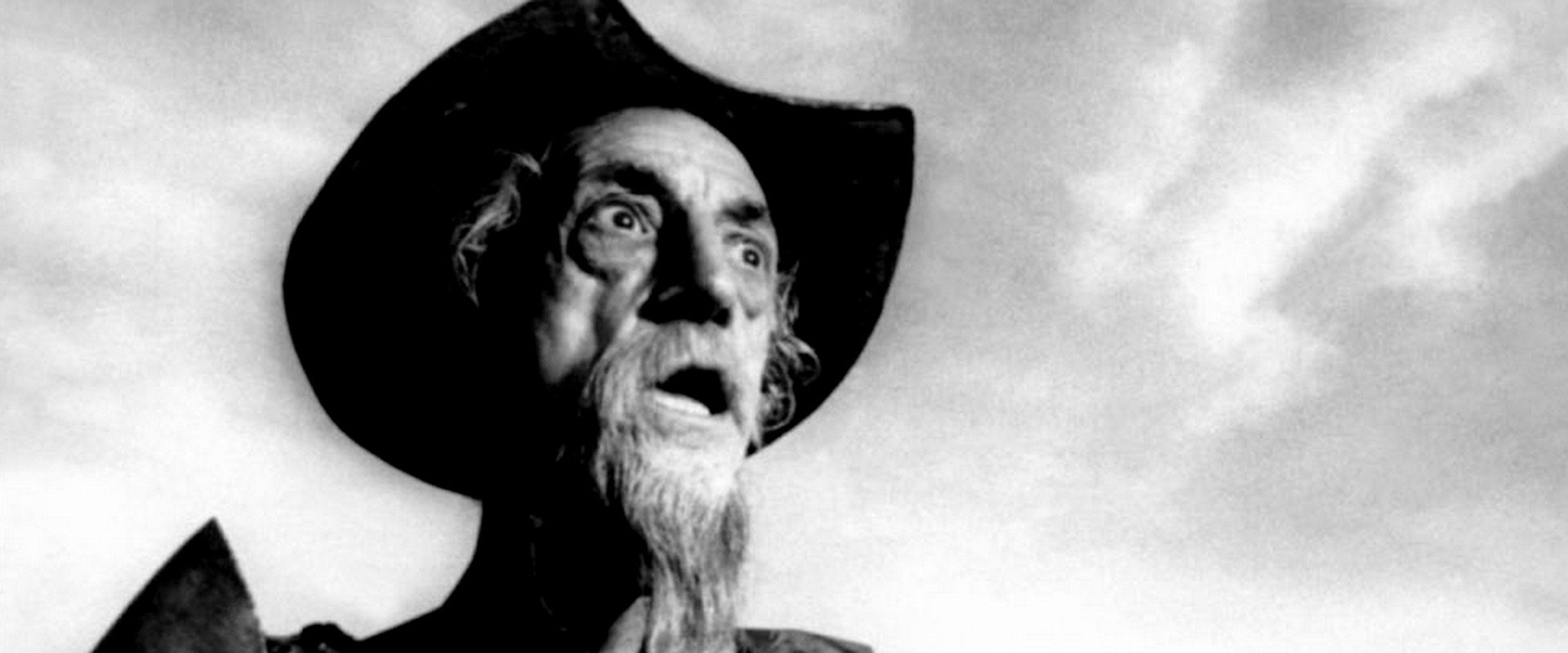 El Quijote desde la platea backdrop