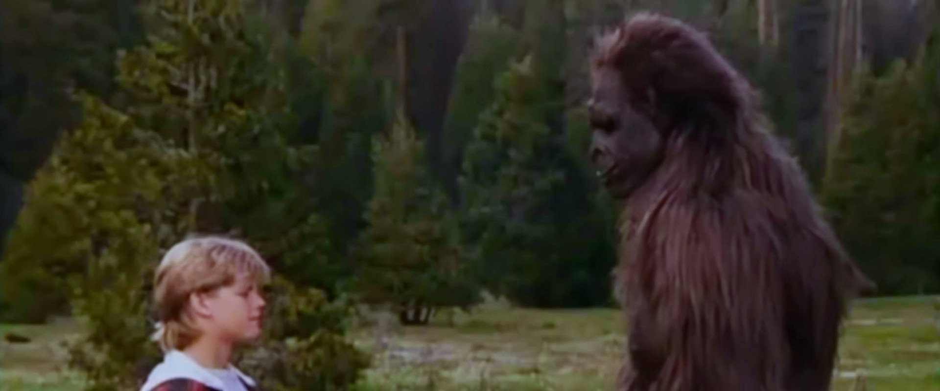 Bigfoot: The Unforgettable Encounter backdrop