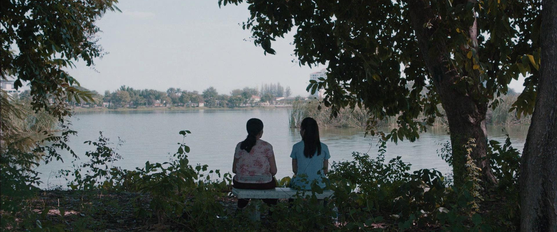 Cemetery of Splendor backdrop