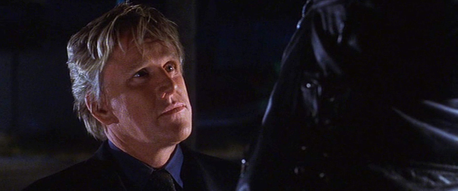 Latin Dragon backdrop