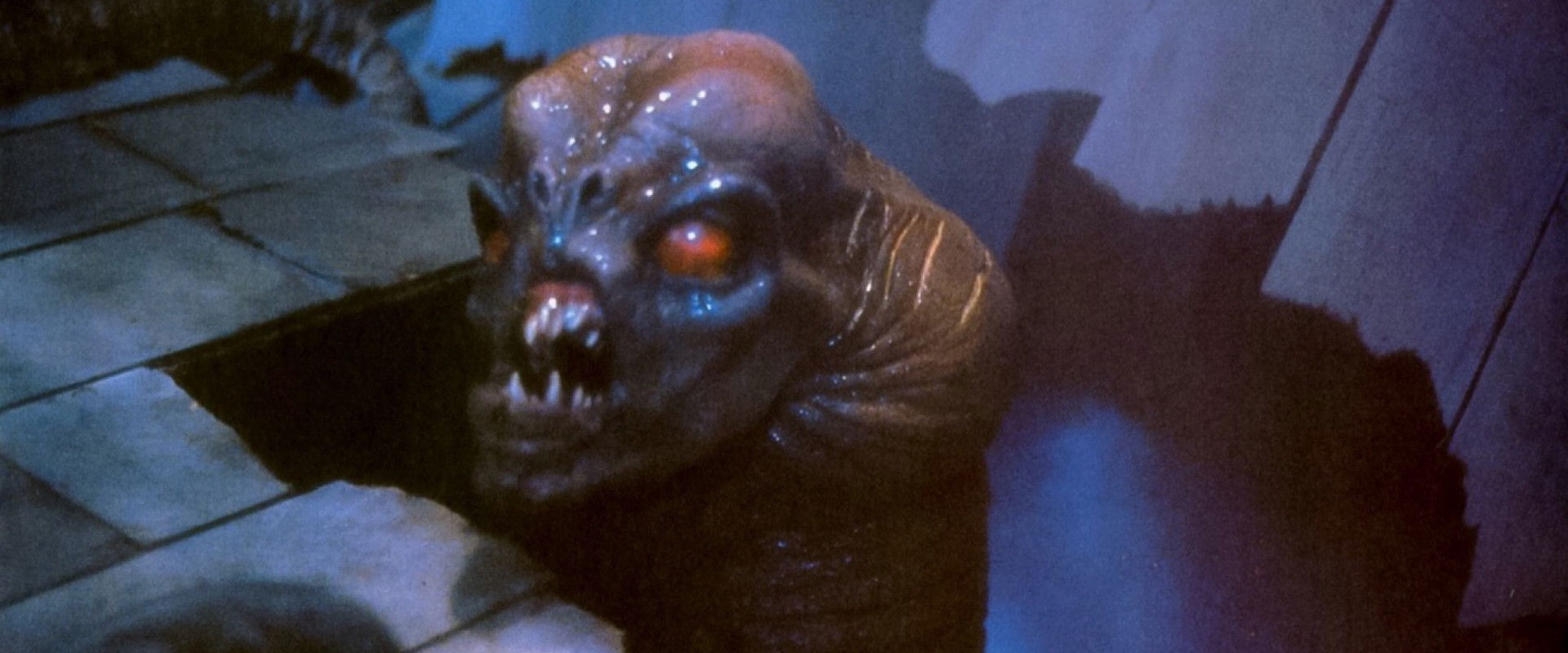 The Kindred backdrop