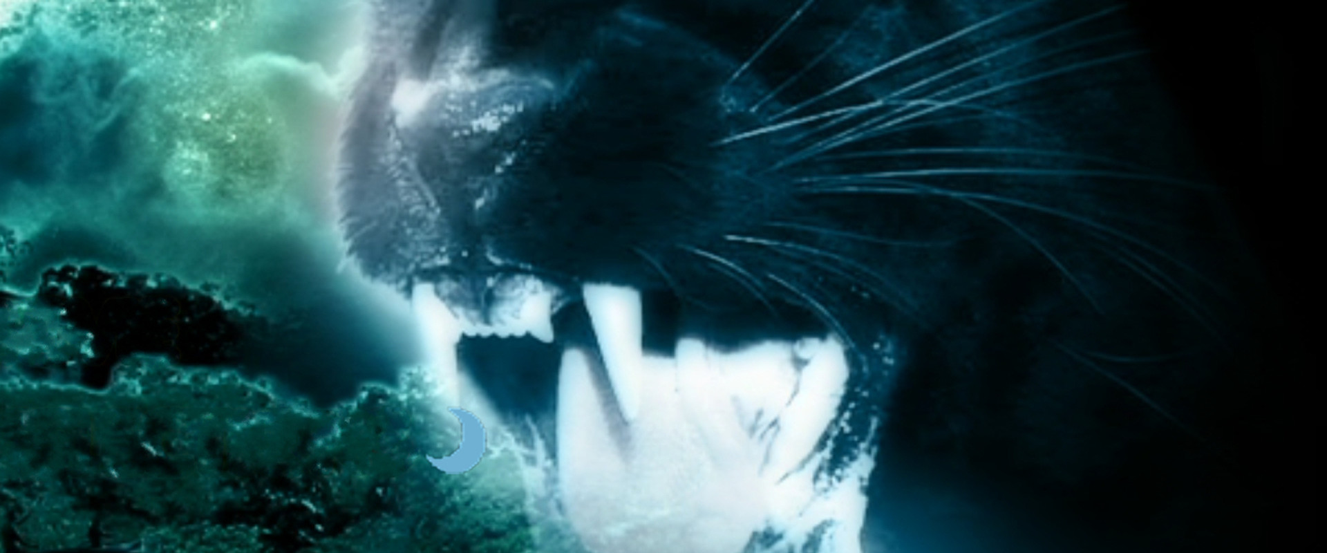 Night Creature backdrop