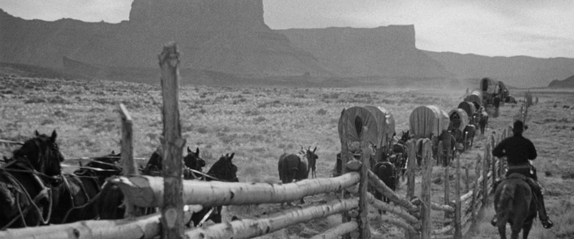 Wagon Master backdrop