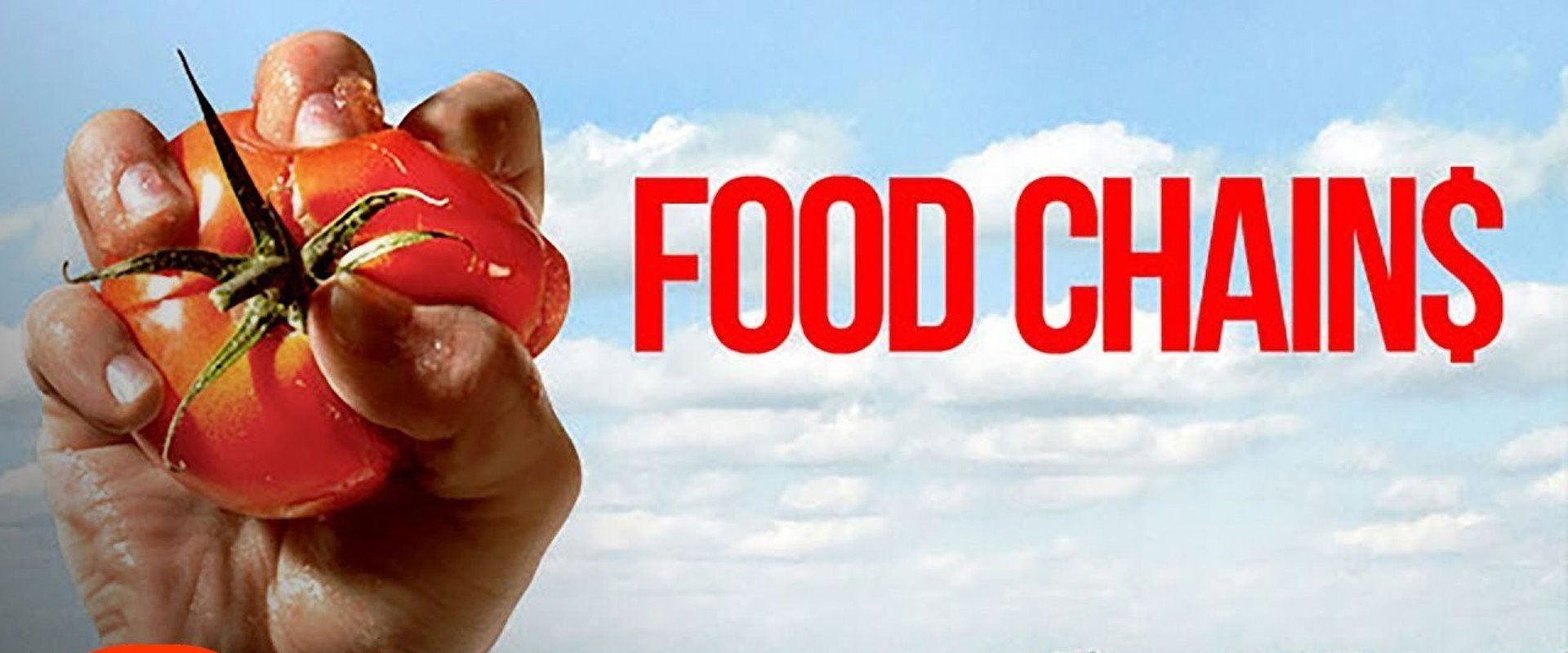 Food Chains backdrop