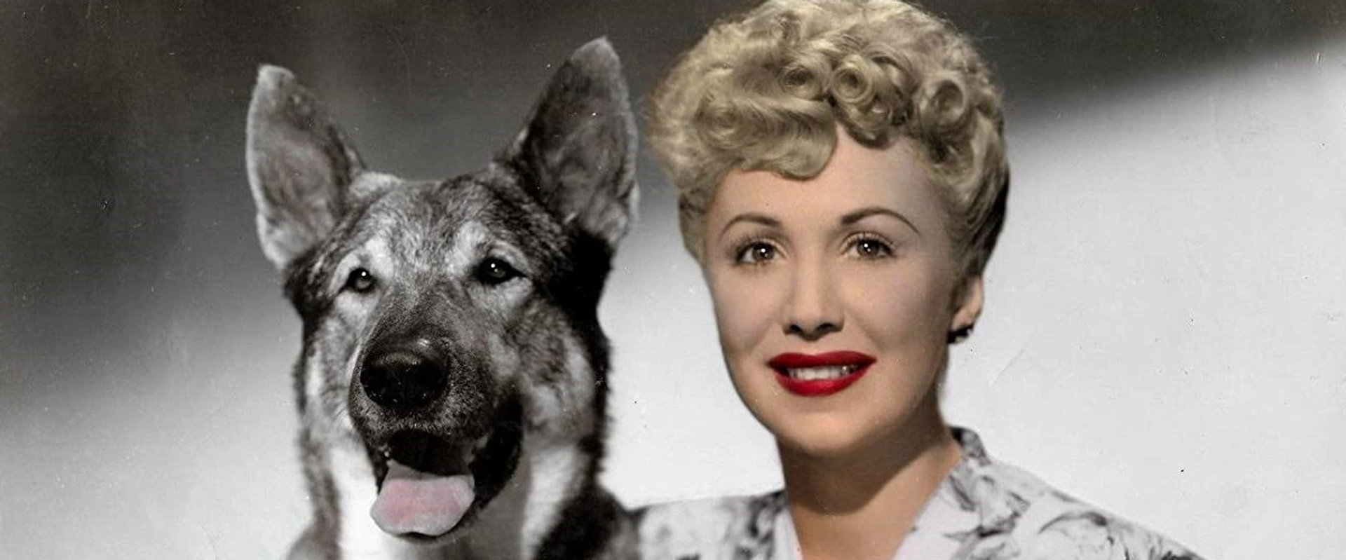 The Return of Rin Tin Tin backdrop