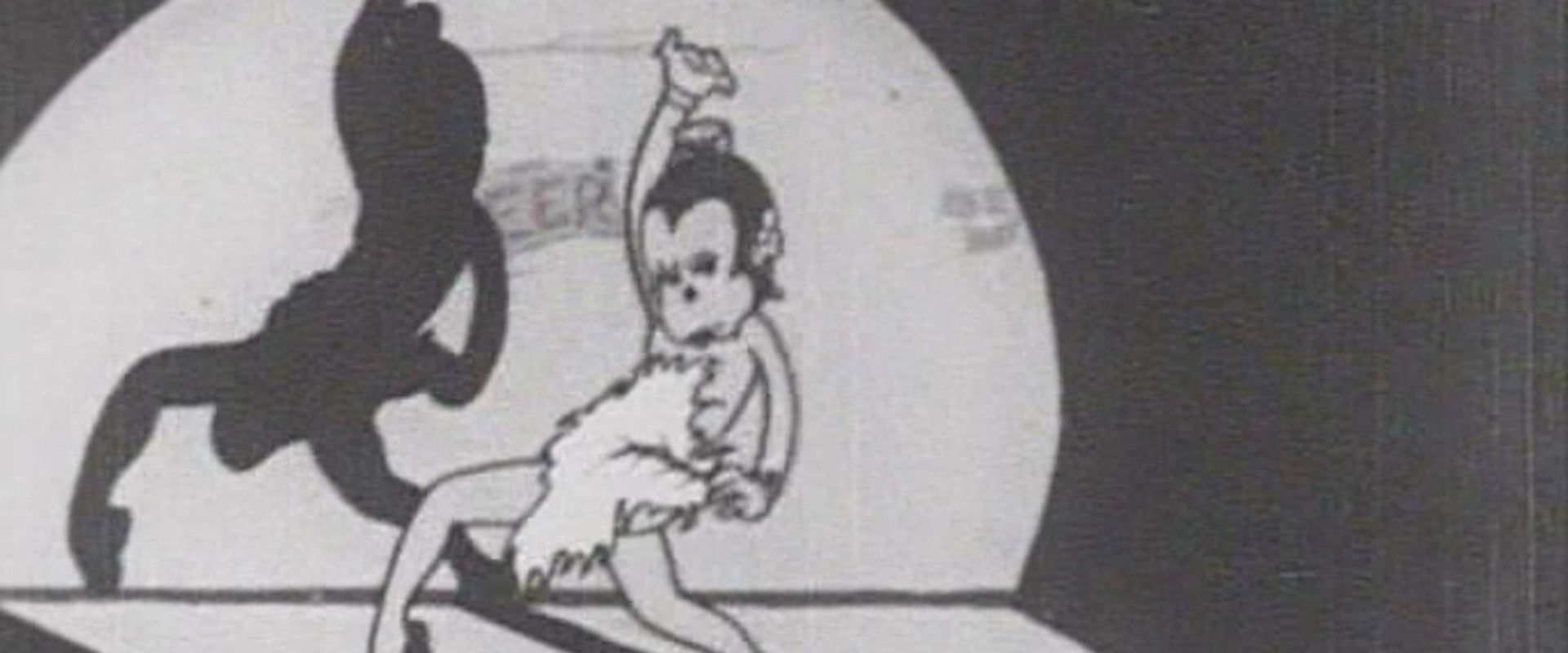 Mexically Lilly backdrop