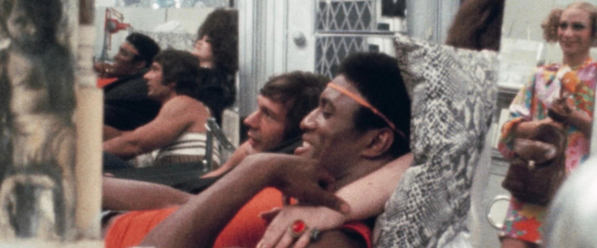 Scarecrow in a Garden of Cucumbers backdrop