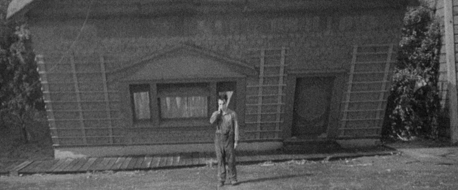 Steamboat Bill, Jr. backdrop