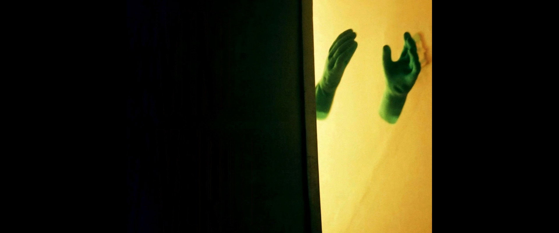 Green Vinyl backdrop