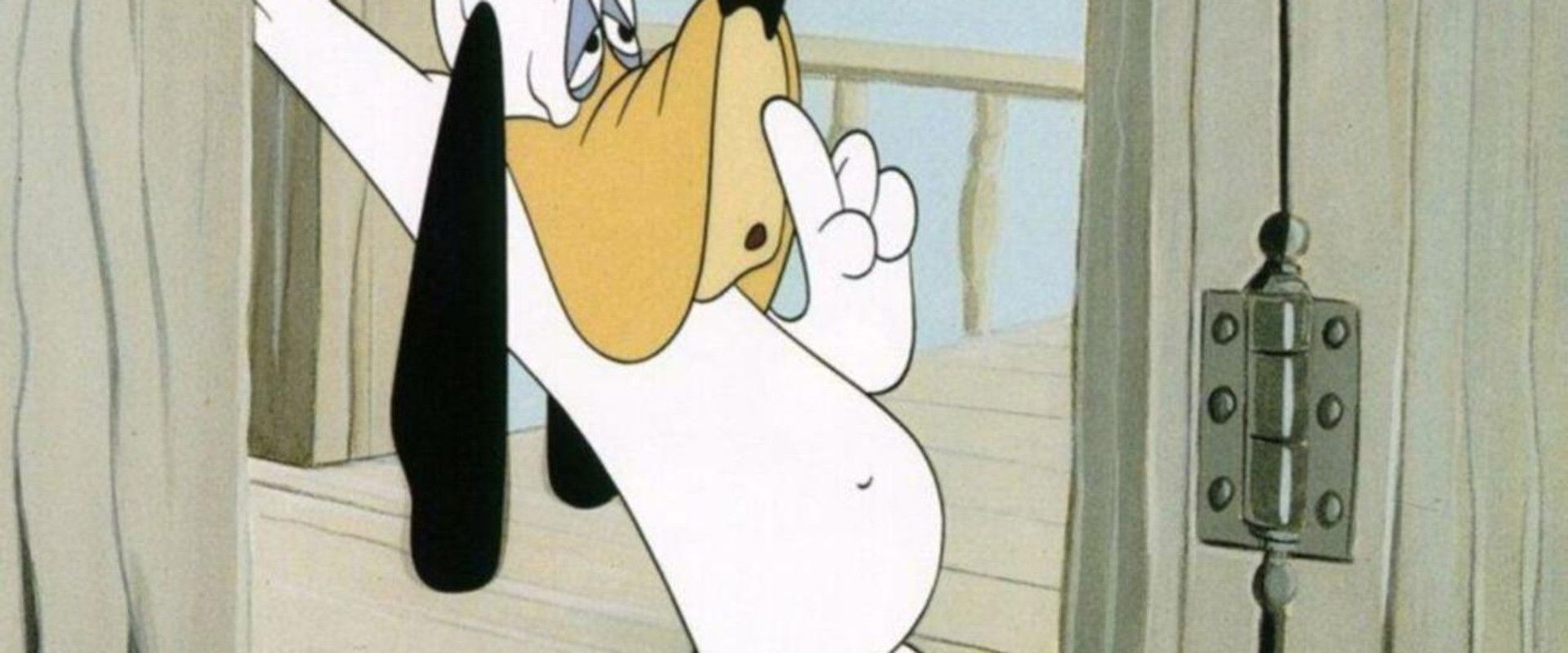 Dumb-Hounded backdrop