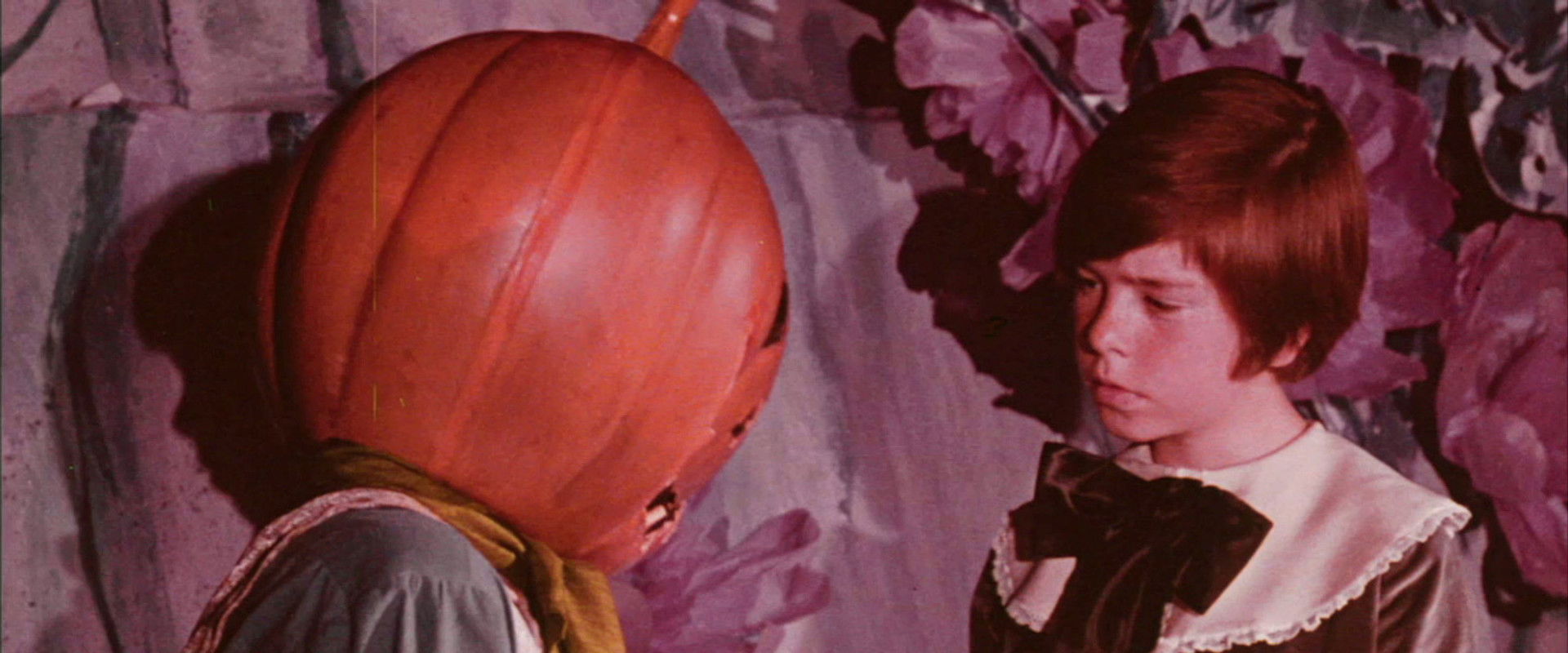 The Wonderful Land of Oz backdrop